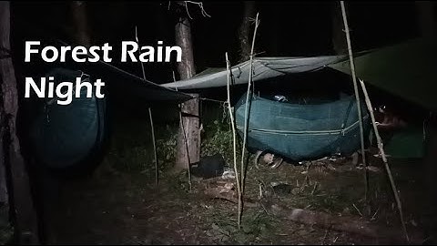 Heavy Rain Camping in the Deep Forest – Cozy Hammock Sleep, Rainstorm Sounds