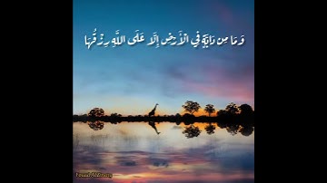 الشيخ ماهر المعيقلي مقطع من سورة هود