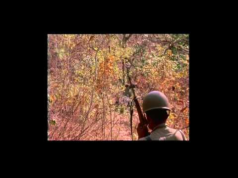 Evolution of Violence Trailer engl Subtitles