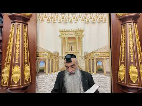 הרב מאיר דוד שמואלי - דיני נפילת אפים סימן קל"א סעיף א' - ד'