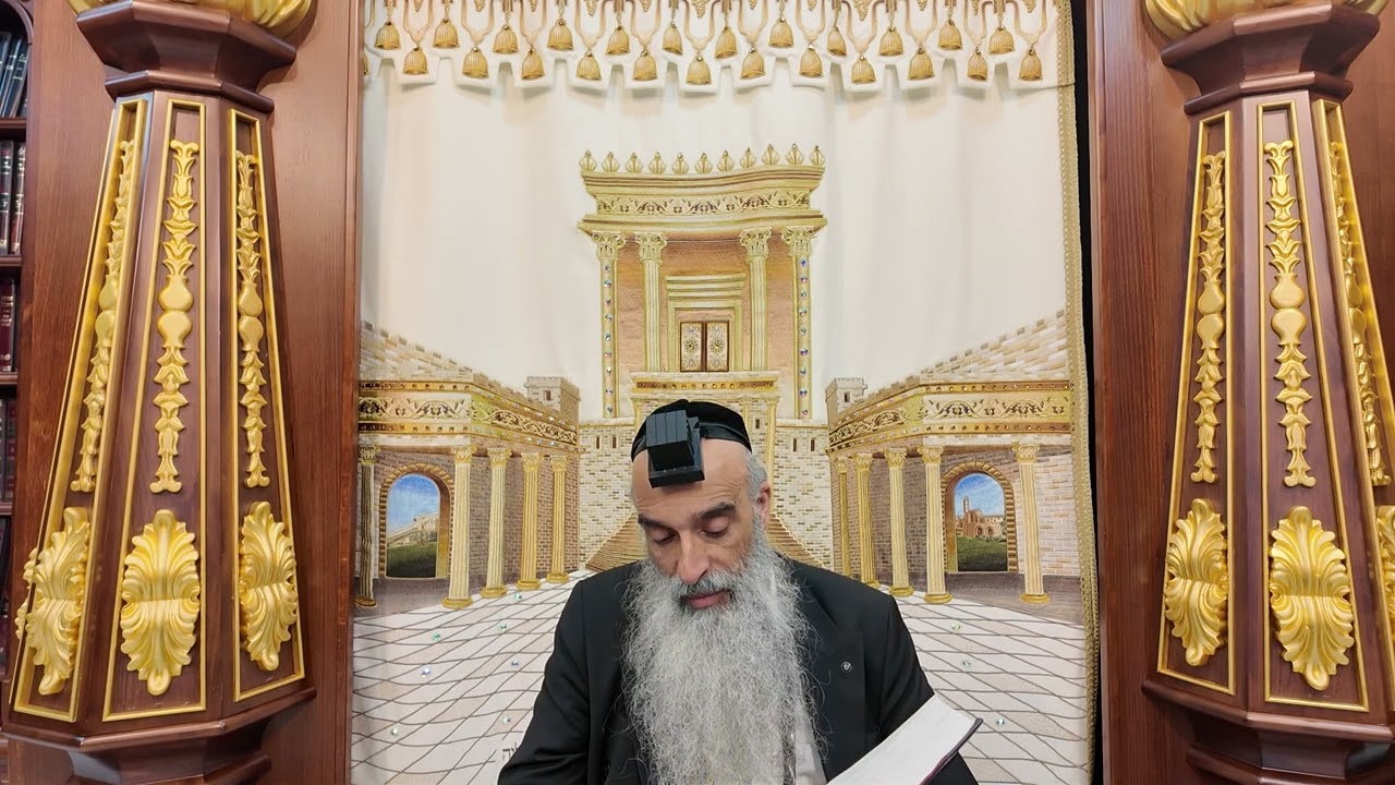 הרב מאיר דוד שמואלי - דיני נפילת אפים סימן קל"א סעיף א' - ד'