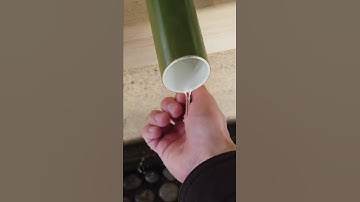 Praying for my Fortune at Meiji Jingu Shrine, a Beautiful Shinto Shrine in Tokyo | 4K 60FPS #Shorts