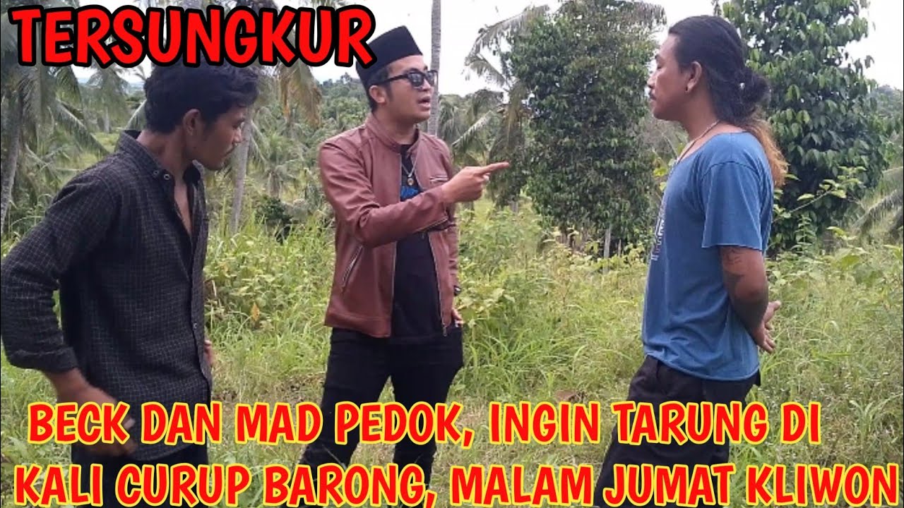 🔴BANG REY LAMPUNG TERBARU|| BANG BECK DAN LUIS PEDOK AKAN TARUNG DI KALI CURUP BARONG JUMAT KLIWON