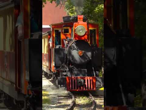 Frisco Silver Dollar Line #railroad
