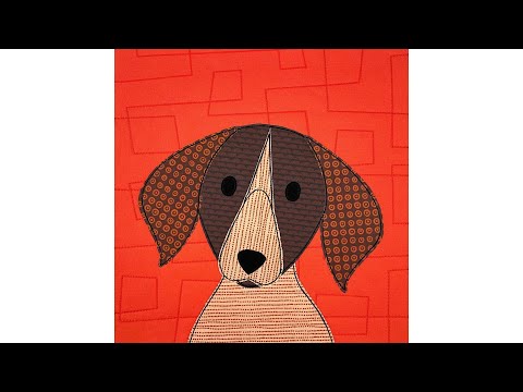Video: Köpek Couture