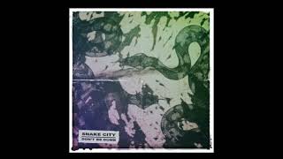{ DON'T BE DUMB } BY SNAKE CITY