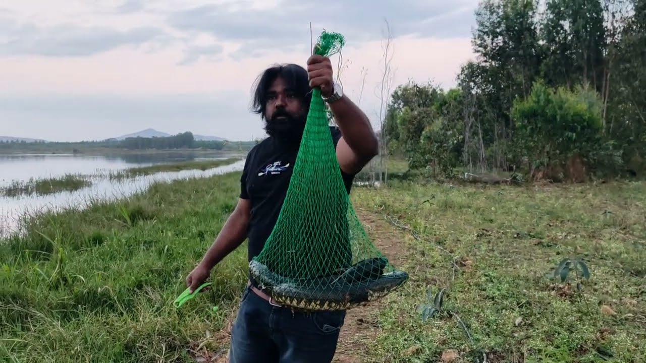 Fish Fishing Videos | Snakehead Fishing | Maral Fishing | Fishing Rod And Reel Setup | Fishing Video