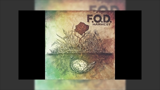 Video thumbnail of "F.O.D.  - Seven Times"