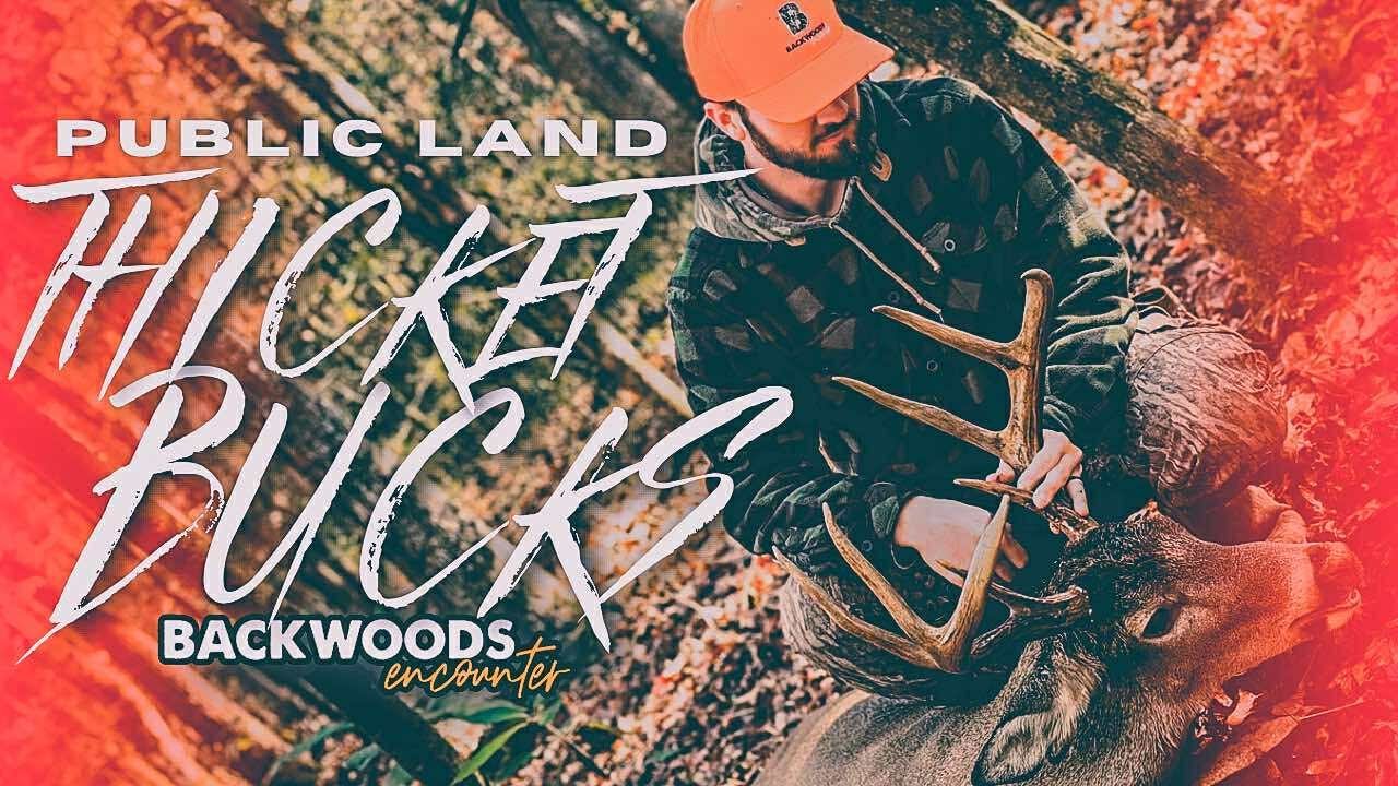 ALABAMA PUBLIC LAND | FINDING THICKET BUCKS
