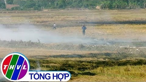 THVL | Đốt rơm rạ gây mất an toàn giao thông tại Khánh Hòa