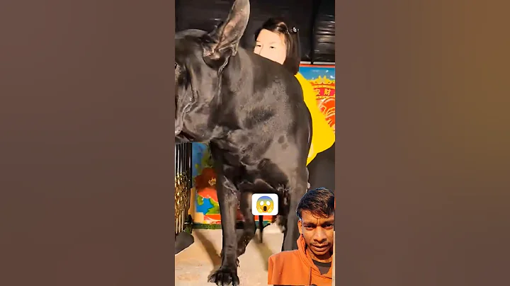 Top Learning Tools 🥰 for Tech Enthusiasts #shorts #shortsfeed #viralshorts 🔥🥰🙏+