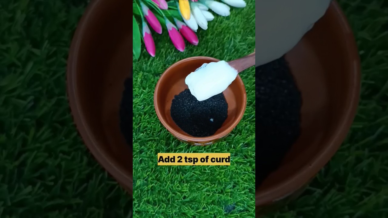 🔥Kalonji Seeds Hair Pack / Best Hair Mask For Long & Thick Hair😘 