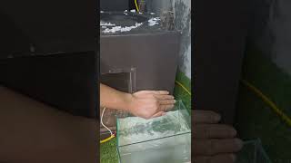 Pioneer 12 Inch Subwoofer Vs Water Insane Bass Power basstest bass nghia subwoofer dj