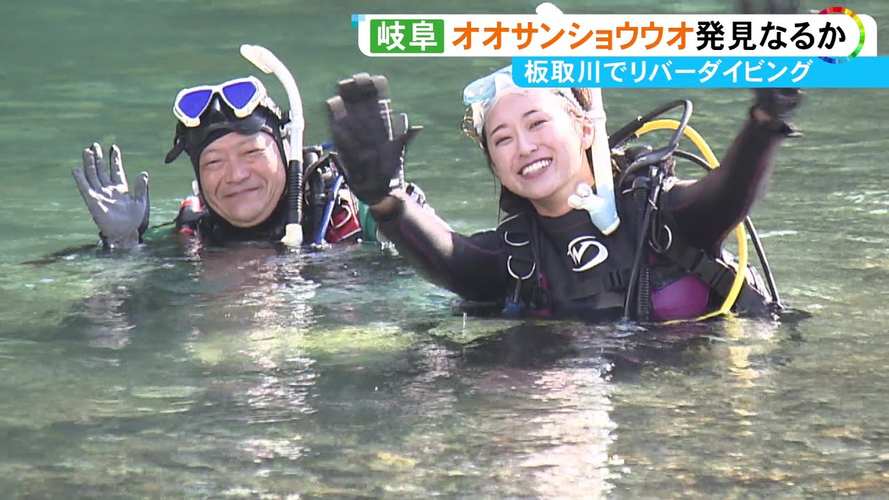 オオサンショウウオとの遭遇率も70％ほど…暑さ全国上位の常連エリアで『リバーダイビング』水深は最大約6m
