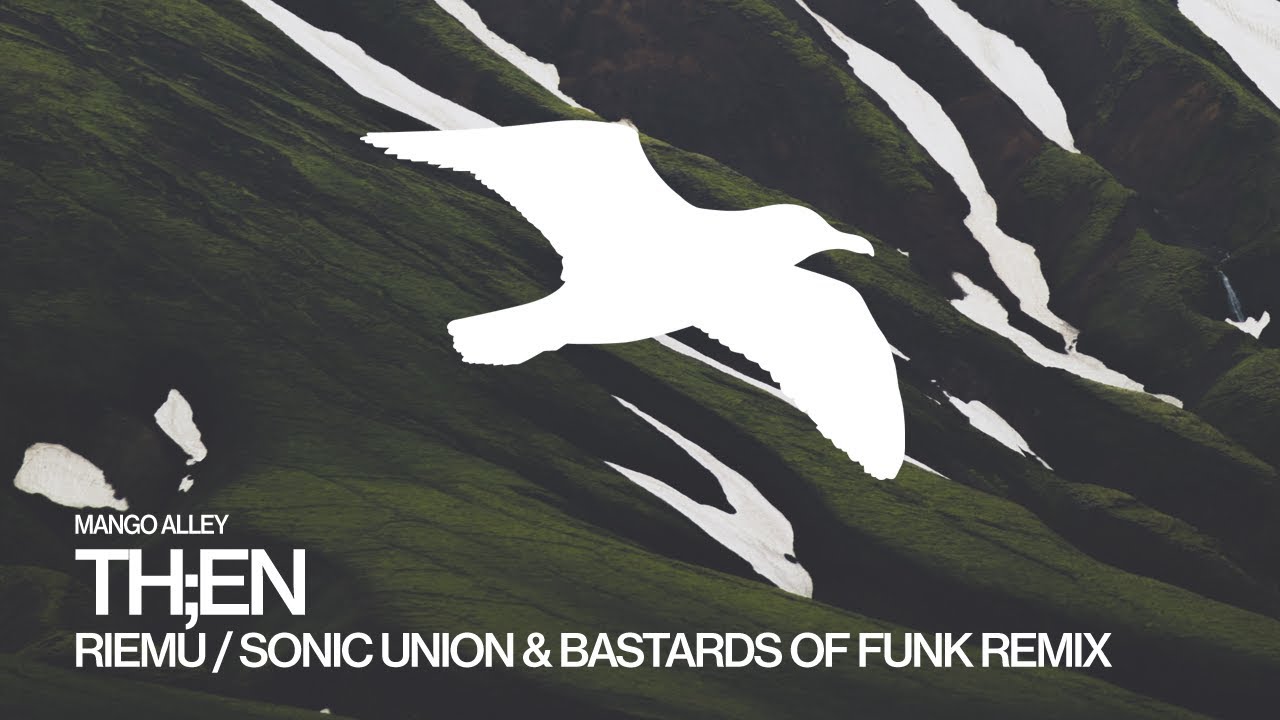 TH;EN Riemu (Sonic Union & Bastards of Funk Remix)