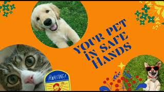 Vet Home visit | online vet consultation