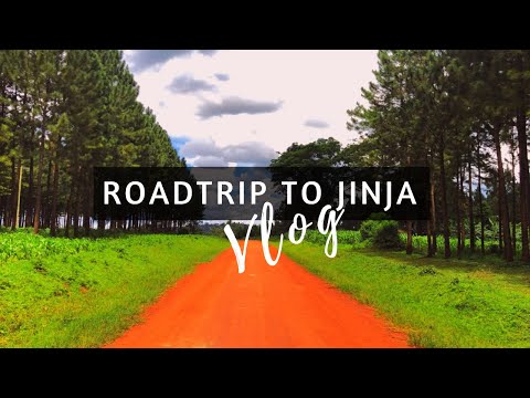 ROADTRIP TO JINJA PT. 1 + Street Food + Mabira Forest | Uganda Vlog Series || Sydney's Travels