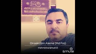 Onsekizbin Âleme Server Olan Muhammed (Sav)