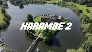 [Free For Profit] Chill Dark Ambient Retro Type Beat “Harambe 2
