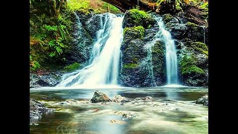 High-class Koto and Strings - Vibe for Body Cleansing