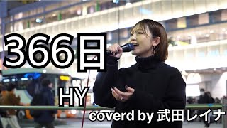 【切ない名曲】HY/366日　covered by 武田レイナ