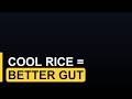 Cooled Rice vs Hot Rice: The Resistant Starch Gut Health Trick