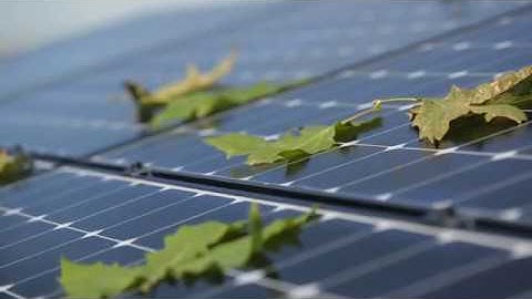 Shade is No Match for SunPower