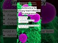 Antibiotics for urinary tract infection in pregnancy