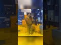 Что такое Layer2 проекты? Переходи на канал и узнай все о крипте за 19 минут!