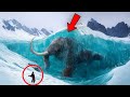 20 Extinct Animals That Look Alive Found Frozen in Antarctica!