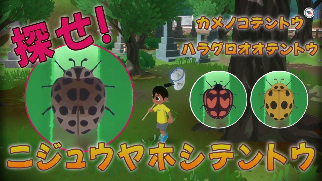 なつもん！20世紀の夏休み】ロード検証☆ニジュウヤホシテントウ☆他