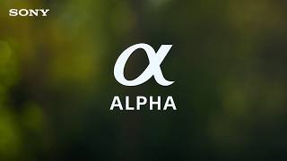My First Alpha