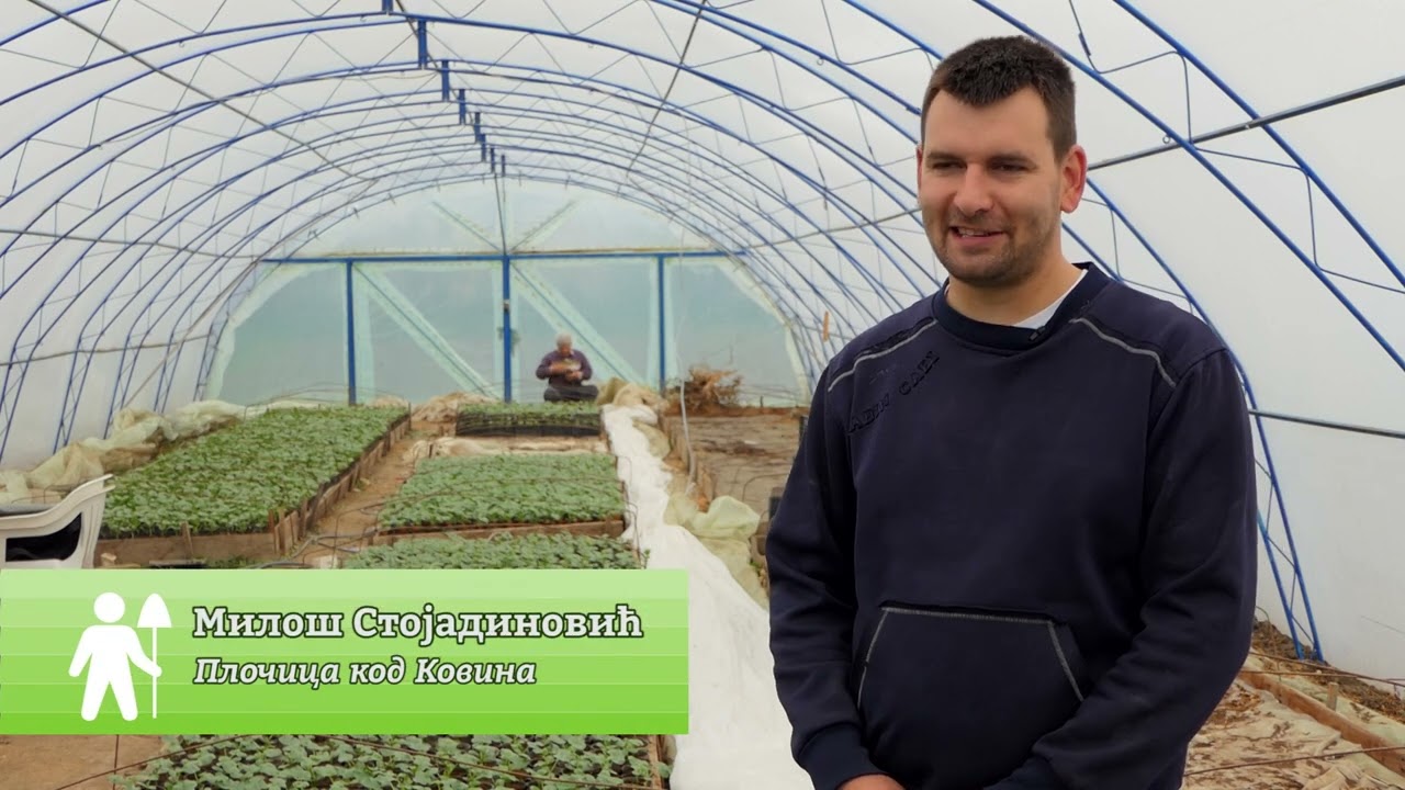 Domaćine kako radiš 04.04.2022. Bostan, lubenice, rasad, Banatski Brestovac, Osipaonica