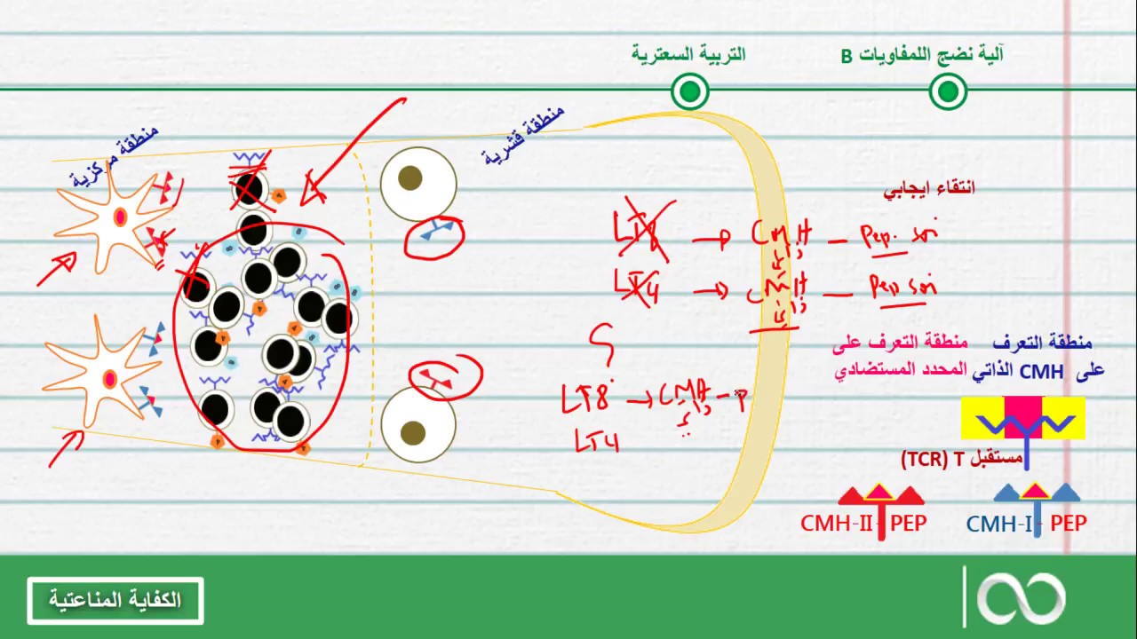 ثانية بكالوريا علوم الحياة والأرض  | 10- الكفاية المناعتية