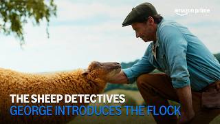 The Sheep Detectives | George Introduces His Flock | Amazon Prime