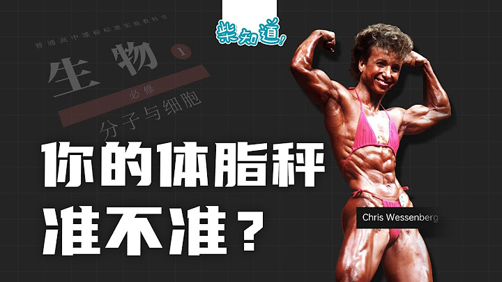 体脂秤这样用才准！带你看懂体脂率背后的含义 How should the body fat scale be used correctly? - 天天要闻