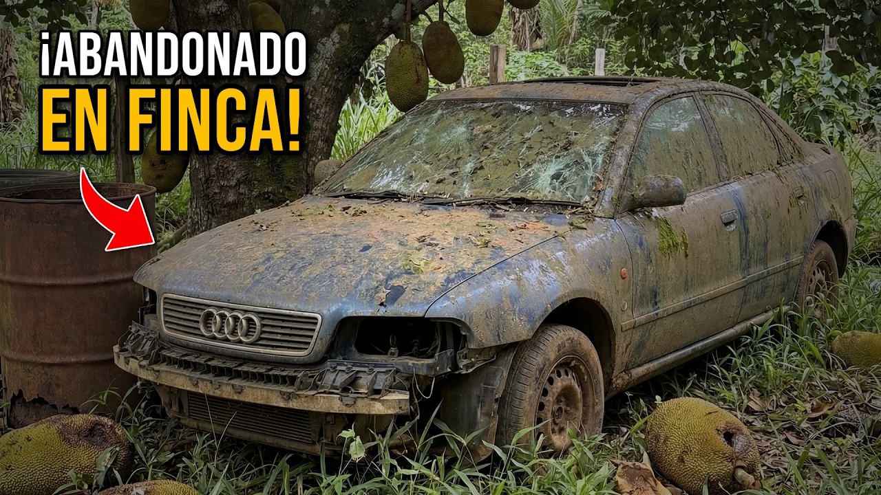 НИКТО НЕ ХОТЕЛ ЭТУ AUDI A4, КОТОРАЯ 10 ЛЕТ СТОЯЛА ЗАБРОШЕННОЙ… Я КУПИЛ ЕЁ ЗА 500 $!