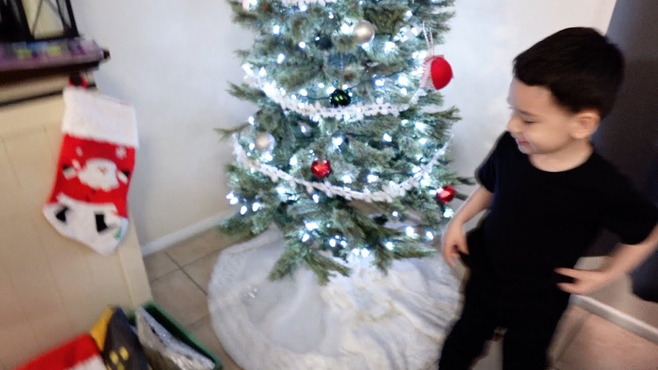 Putting up the Christmas tree 2025