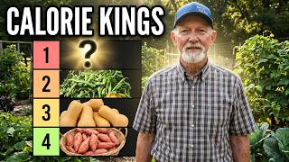 4 Most Calorie Dense Foods To Grow In Your Garden In 2025