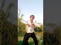 Sudhanshu raj dance