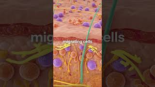 Download Mp3 ✨ How to Exfoliate Your Skin the Right Way | Glow Up Starts Here! ✨ Gudang lagu Download Mp3 ✨ How to Exfoliate Your Skin the Right Way | Glow Up Starts Here! ✨
