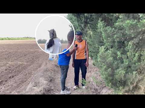 مقلب عيشة دويبة حالة إنسانية