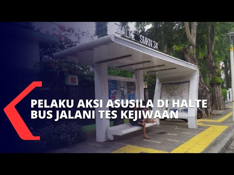 Video: Mengapa disebut h alte bus chicane?