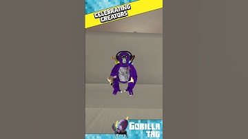 Is this a loop? #gorillatag gorillatag #gorillatagquest #gorilla #vr #gtag