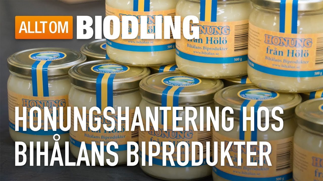 Honungshantering hos Bihålans Biprodukter - Biodling
