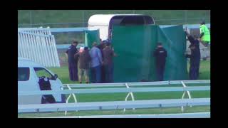 Fulmineus killed at Warrnambool 2021