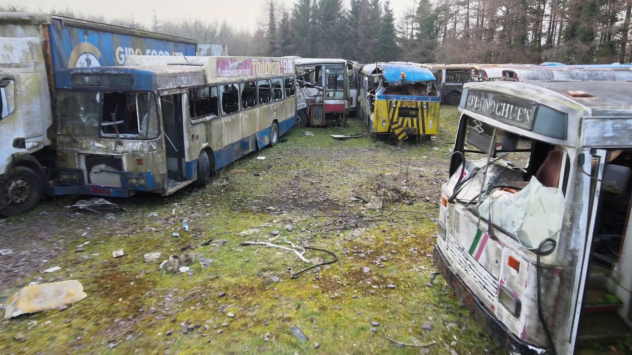 The Bus Graveyard
