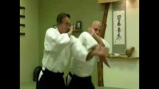 Tenshin Aikido screenshot 5