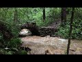 Aftermath of The Storm | Dry Stone Bridge Update
