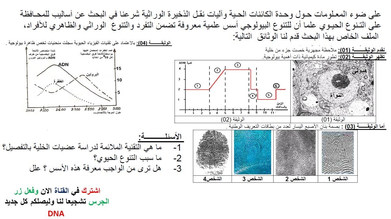 اختبار حول الانقسام المنصف 2 ثانوي